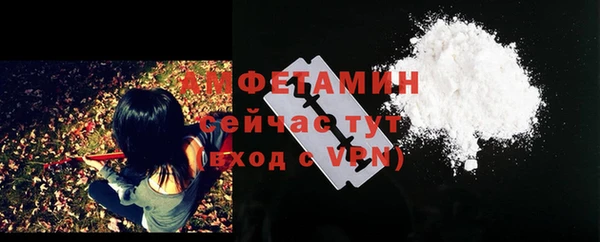крисы Сатка