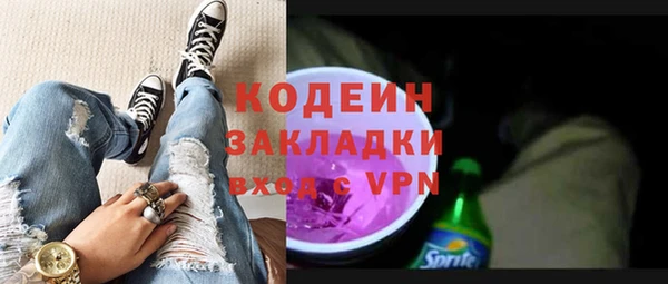 крисы Сатка
