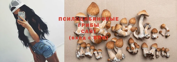 крисы Сатка