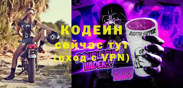 крисы Сатка
