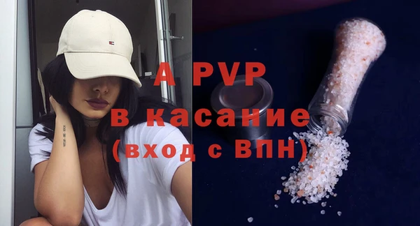 крисы Сатка