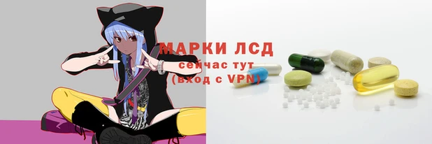крисы Сатка